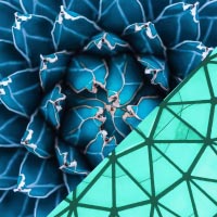 Flower and architecture blend photo